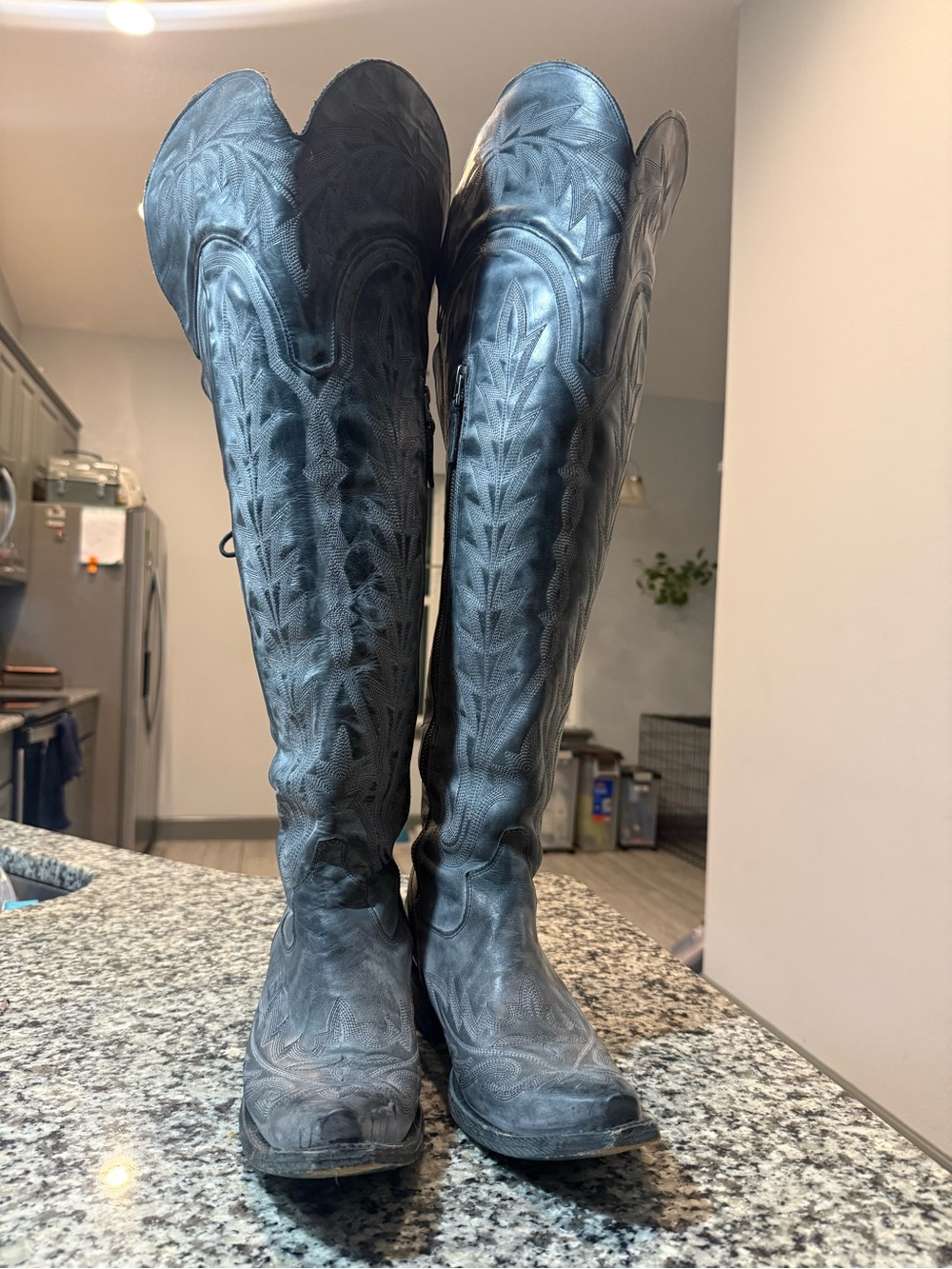 Lane Lexington Over the Knee Jet Black